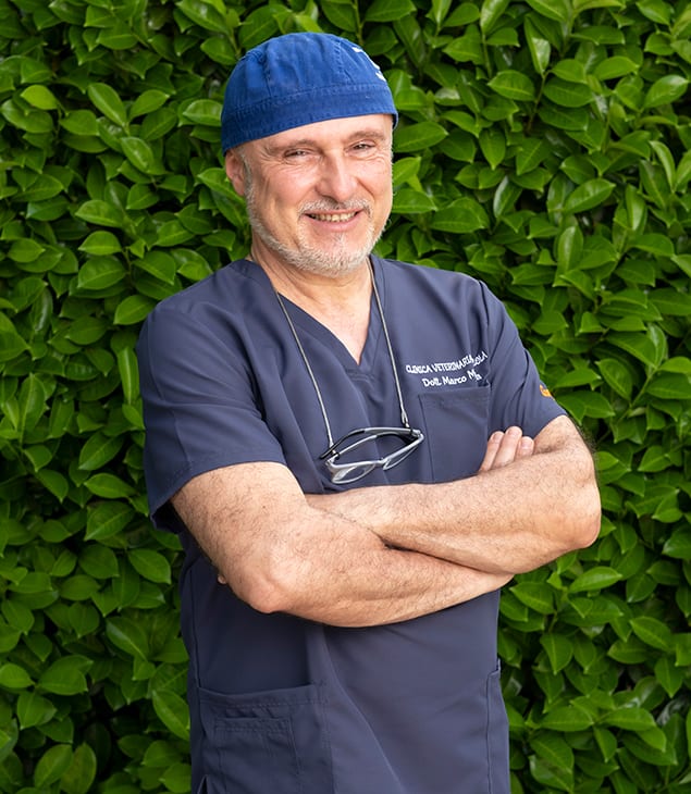 Perché scegliere l’ambulatorio veterinario del Dott. Marco Marzola a Ferrara